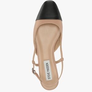 Steve Madden Women's Black and Tan Belinda Mule